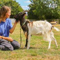 Sheep and Goat Meet & Greet Participant Voucher